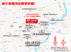 让您用专业目光去买